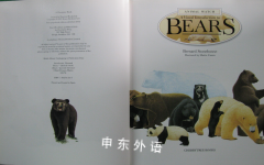 A Visual Introduction to Bears (Animal Watch)
