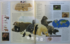 A Visual Introduction to Bears (Animal Watch)