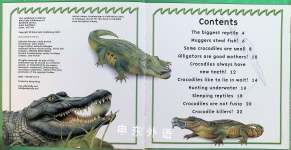 10 Things You Should Know About Crocodiles