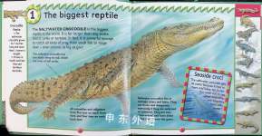 10 Things You Should Know About Crocodiles