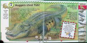 10 Things You Should Know About Crocodiles