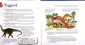 Triceratops