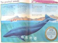 Whales and Dolphins 100 Things You Should Know About
