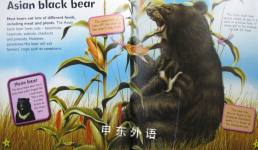 Bears (I Love)