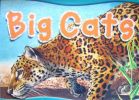 Big Cats (I Love)