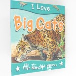 Big Cats (I Love)