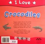 Crocodiles (I Love)