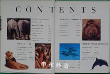 The Encyclopedia of Elephants Big Cats Bears & Whales