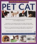 How to Look After Your Pet Cat