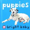 Puppies (Bright Baby) (Bright Baby)