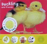Touch Feel and Listen - Duckling and Friends Bright Baby Bright Baby Priddy Books