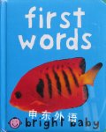 Bright Baby: First Words Priddy Books
