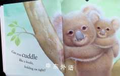 Can You Cuddle Like a Koala