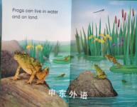 Tadpoles and Frogs (Read it Yourself - Level 2)