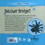 Crazy Stories:Belcher Bridget