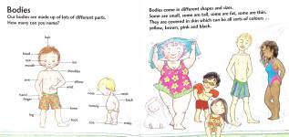 Head to Toes My First Body Book