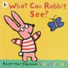 What can rabbit see?