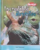 Incredible Creatures: Reptiles Hardback