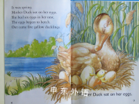 The Ugly Duckling