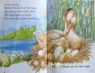 The Ugly Duckling