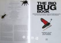 The Big Bug Book: Beetle, Bugs, Butterflies, Moths, Insects and Spiders
