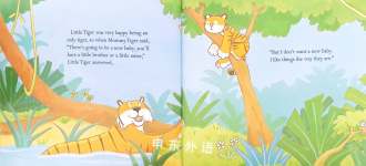 Little Tigers big surprise