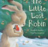 The Little Lost Robin Elizabeth Baguley
