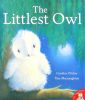 The Littlest Owl