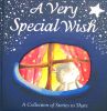 A Very Special Wish