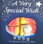 A Very Special Wish Little Tiger Press