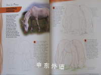 How to Draw:Wild Horses (Born Free)