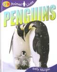 Animal Lives: Penguins Sally Morgan