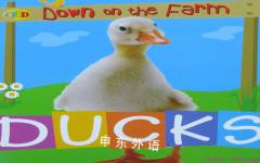 Down on the Farm Ducks