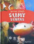 Slimy Sliders Awesome Animals Lynn Huggins-Cooper