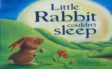 Little Rabbit Couldn't Sleep