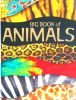 Big book of Animals