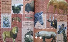 My 2 In 1：Animal Picture Dictionary