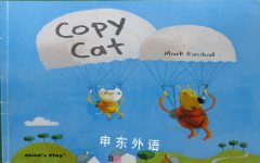 Copy Cat (Child's Play Library) Mark Birchall