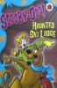 Scooby-Doo! Haunted ski lodge