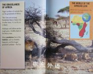 Lions in Danger I Love Reading: Fact Files