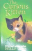 The Curious Kitten Holly Webb Animal Stories