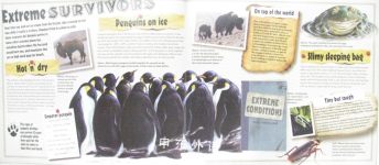 Extreme Animals Weird and wonderful, fast and ferocious!
