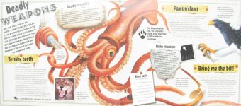 Extreme Animals Weird and wonderful, fast and ferocious!