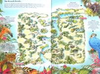 Journey through the jungle Amazing wipe clean maze book
