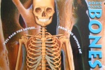 Body Basics Bones