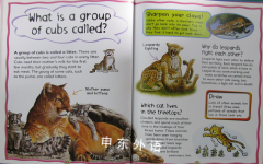 Why Why Why are lions lazy