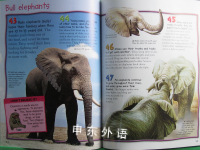 Elephants (100 Facts)