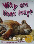 Why Are Lions Lazy?  Miles Kelly Publishing
