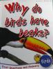 Why Do Birds Have Beaks