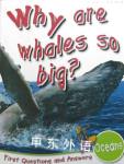 Why Are Whales So Big? Miles Kelly Publishing